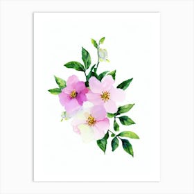 Apple Blossom Watercolour Flower Art Print