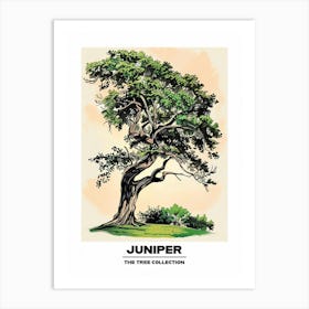 Juniper Tree Storybook Illustration 4 Poster Art Print