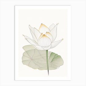 Early Lotus Pencil Illustration 3 Art Print