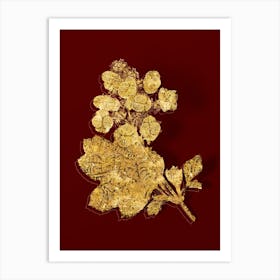 Vintage Oakleaf Hydrangea Botanical in Gold on Red n.0586 Art Print