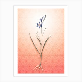 Ixia Secunda Vintage Botanical in Peach Fuzz Asanoha Star Pattern n.0149 Art Print