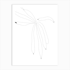 Drawing Of A Flower Art Print Art Print