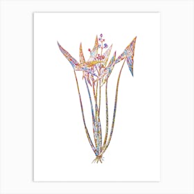 Stained Glass Arrowhead Mosaic Botanical Illustration on White n.0106 Art Print