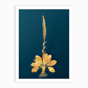 Vintage Blazing Star Botanical in Gold on Teal Blue n.0094 Art Print