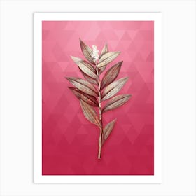 Vintage Smilacina Stellata Botanical in Gold on Viva Magenta n.0792 Art Print