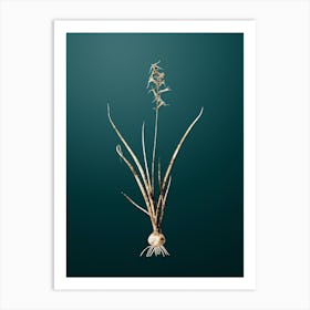 Gold Botanical Hyacinthus Viridis on Dark Teal n.3456 Art Print