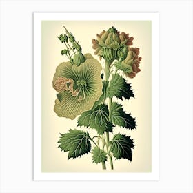 Hollyhock Wildflower Vintage Botanical 1 Art Print