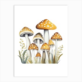 Mushrooms On A White Background Art Print