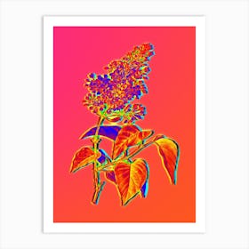 Neon Common Pink Lilac Plant Botanical in Hot Pink and Electric Blue n.0162 Art Print