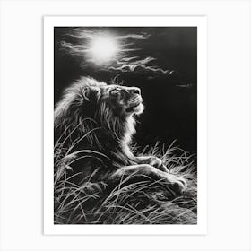African Lion Charcoal Drawing Resting In The Sun 4 Art Print