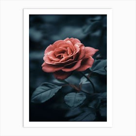 Dark Rose 102 Art Print