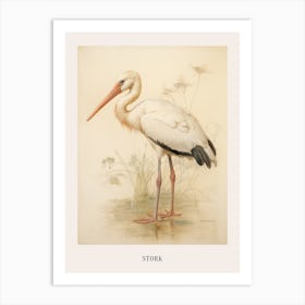 Vintage Bird Drawing Stork 2 Poster Art Print
