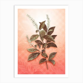 Virginia Sweetspire Vintage Botanical in Peach Fuzz Tartan Plaid Pattern n.0037 Art Print