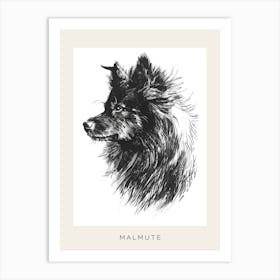 Malmute Furry Dog Line Sketch 3 Poster Art Print