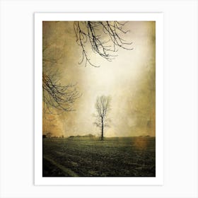 The Tree Across The Field Art Print