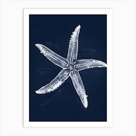 Starfish 21 Art Print