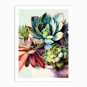 Succulents In A Pot nature flora Art Print