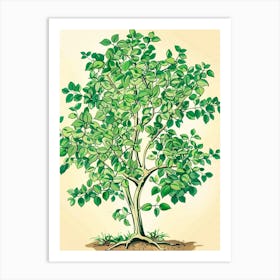 Boxwood Tree Storybook Illustration 3 Art Print