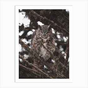 Forest Great Horned Owl Art Print