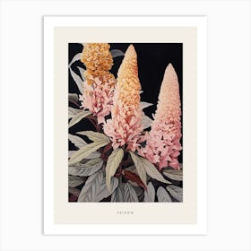 Flower Illustration Celosia 3 Poster Art Print