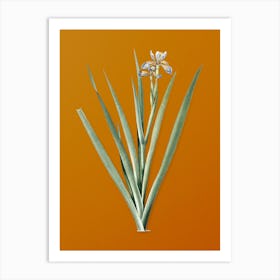 Vintage Stinking Iris Botanical on Sunset Orange n.0549 Art Print