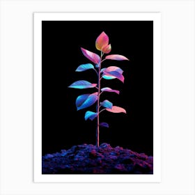 Colorful Plant Isolated On Black Background Art Print