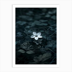 Flower In Water 5 Art Print