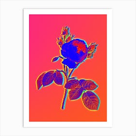 Neon Pink Cabbage Rose Botanical in Hot Pink and Electric Blue n.0258 Art Print