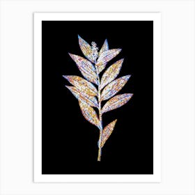 Stained Glass Smilacina Stellata Mosaic Botanical Illustration on Black n.0125 Art Print
