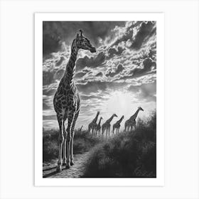 Herd Of Giraffes In The Sun Pencil Drawing 3 Art Print