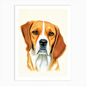 English Foxhound Illustration Dog Art Print