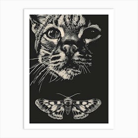 Moth And Cat Art Print