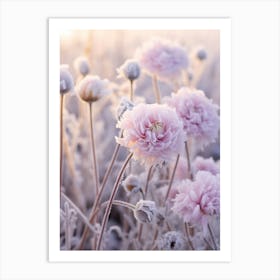 Frosty Botanical Scabiosa 1 Art Print