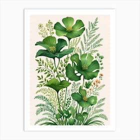 Botanical Illustration Art Print