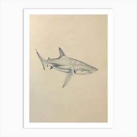 Dogfish Shark Vintage Illustration 5 Art Print