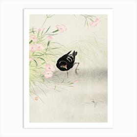 Moorhen At Flowering Plant (1900 1936), Ohara Koson Art Print