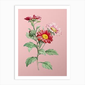 Vintage Red Aster Flowers Botanical on Soft Pink n.0264 Art Print