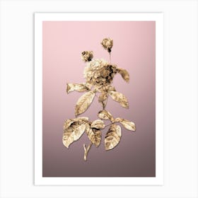 Gold Botanical Agatha Rose in Bloom on Rose Quartz n.3732 Art Print