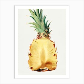 Pineapple Print Art Print