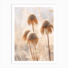 Boho Dried Flowers Coneflower 2 Art Print