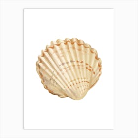 Colored seashells. Seashells. Summer. 10 Art Print