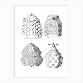 Types Of Beehive 3 Vintage Art Print