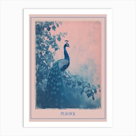 Blue & Pink Peacock Portrait 1 Poster Art Print