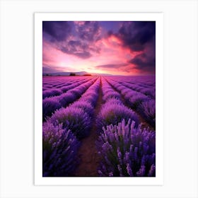 Lavender Field At Sunset 4 Art Print