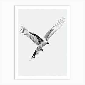 Vulture B&W Pencil Drawing 2 Bird Art Print