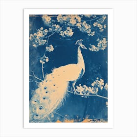 White Orange Blue Cyanotype Inspired Peacock 3 Art Print