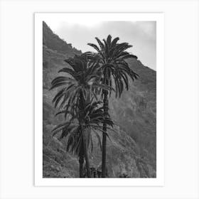 Tenerife's Palms, Canaries Islands | Black And White PhotographY Art Print Art Print