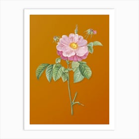 Vintage Speckled Provins Rose Botanical on Sunset Orange n.0945 Art Print