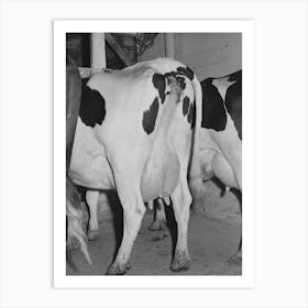 Cows Of Member Of The Dairymen S Cooperative Creamery,Caldwell, Canyon County, Idaho By Russell Lee Art Print
