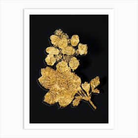 Vintage Oakleaf Hydrangea Botanical in Gold on Black n.0316 Art Print